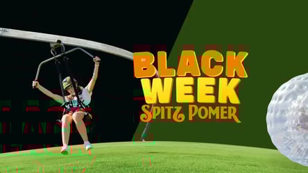 🗞️ Spitz Pomer anuncia Black Week novidades e surpresas no horizonte!