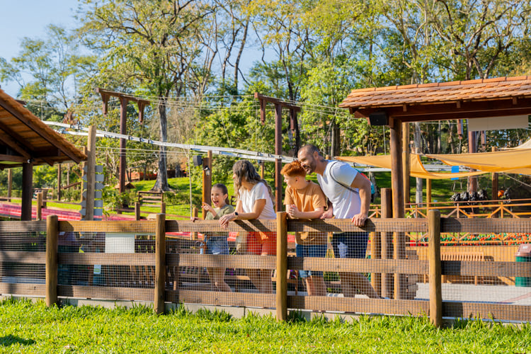 Destinos Imperdíveis no Sul do Brasil para Viajar com Crianças