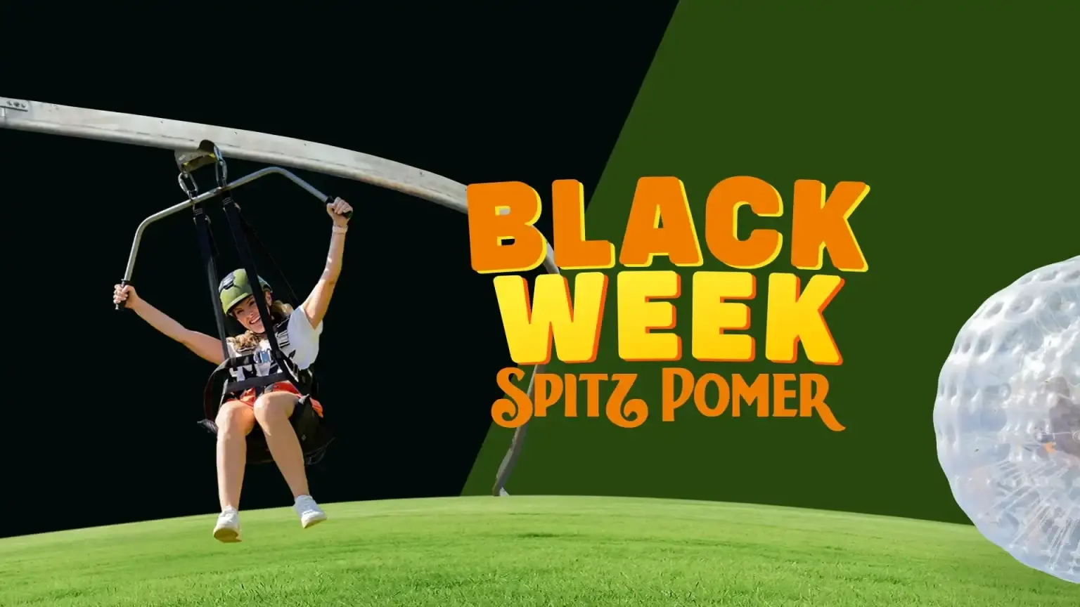 🗞️ Spitz Pomer anuncia Black Week novidades e surpresas no horizonte!