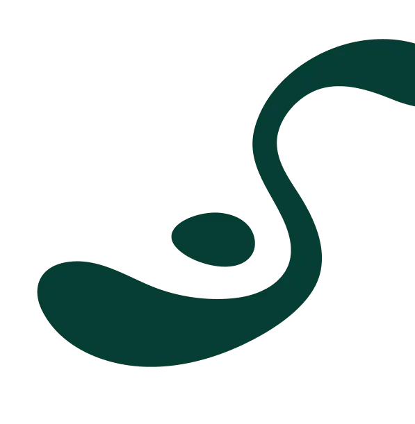 Mancha Verde Decorativa